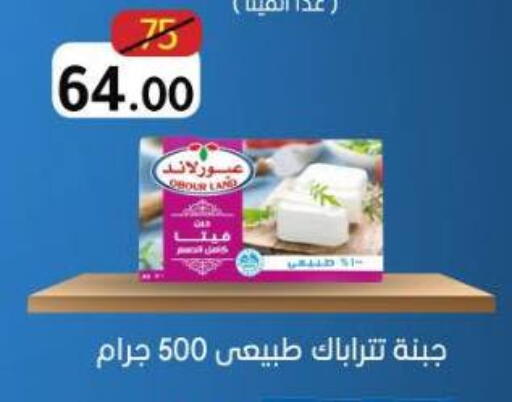 available at Wekalet Elmansoura - Dakahlia  in Egypt - Cairo