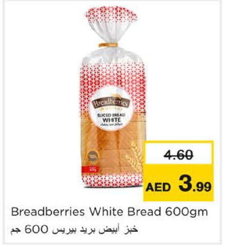 available at نستو هايبرماركت in الإمارات العربية المتحدة , الامارات - رَأْس ٱلْخَيْمَة