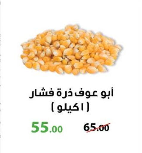 available at رويال هاوس in Egypt - القاهرة