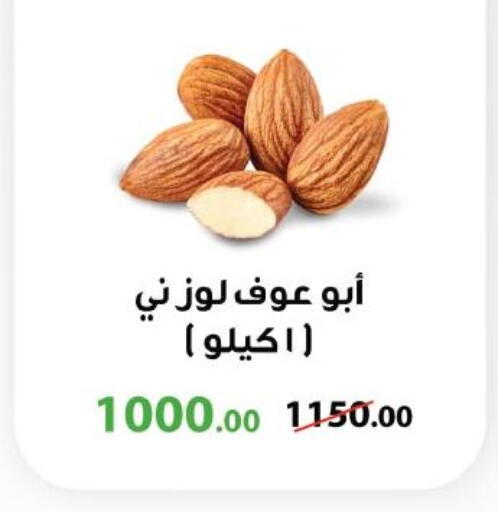 available at Royal House in Egypt - Cairo