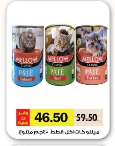 available at Royal House in Egypt - Cairo