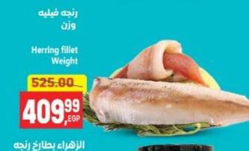 available at سوبر ماركت الحسينى in Egypt - القاهرة