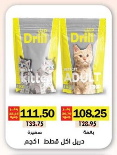 available at Royal House in Egypt - Cairo