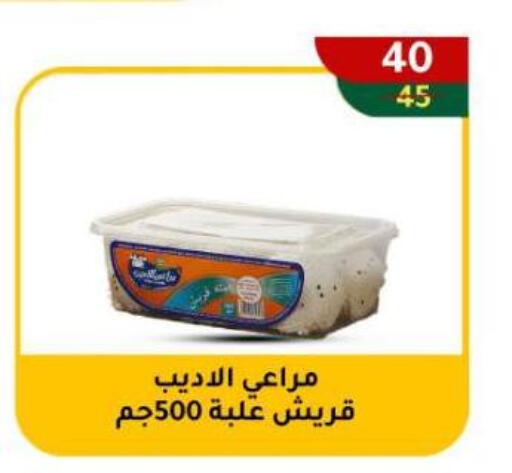 available at Wekalet Elmansoura - Dakahlia  in Egypt - Cairo