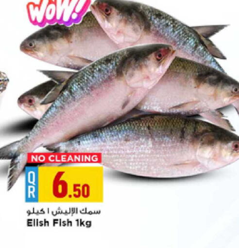 available at Marza Hypermarket in Qatar - Doha