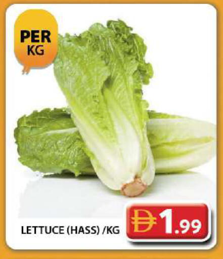 Lettuce available at Grand Hyper Market in UAE - Dubai