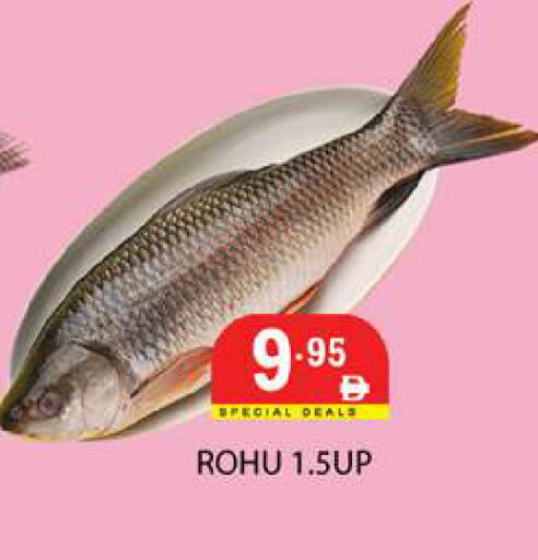 available at زين مارت سوبرماركت in الإمارات العربية المتحدة , الامارات - رَأْس ٱلْخَيْمَة