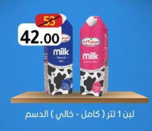 available at Wekalet Elmansoura - Dakahlia  in Egypt - Cairo