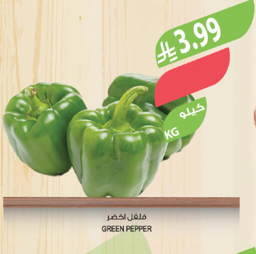 Pepper available at المزرعة in مملكة العربية السعودية, السعودية, سعودية - الخبر‎