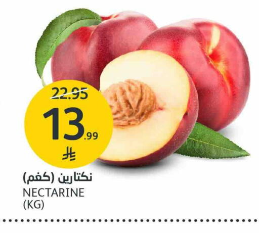 Nectarine available at مركز الجزيرة للتسوق in مملكة العربية السعودية, السعودية, سعودية - الرياض