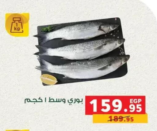 available at Panda  in Egypt - Cairo