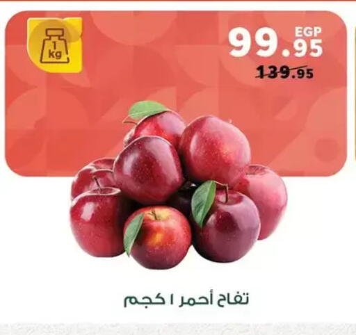 available at Panda  in Egypt - Cairo