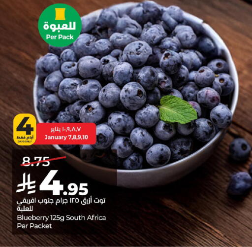Blueberry BlueBerry from South Africa available at لولو هايبرماركت in مملكة العربية السعودية, السعودية, سعودية - الخبر‎