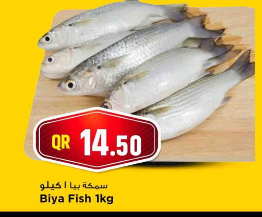 available at مرزا هايبرماركت in قطر - الدوحة