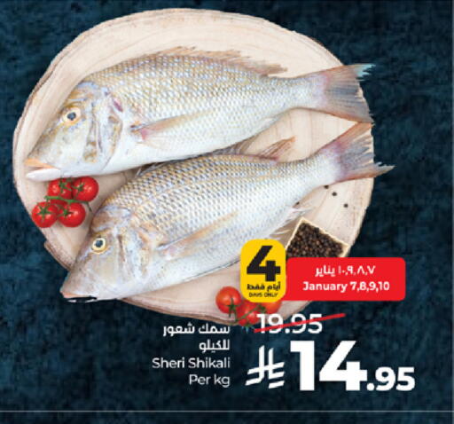 available at LULU Hypermarket in KSA, Saudi Arabia, Saudi - Tabuk