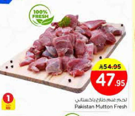 available at نستو in مملكة العربية السعودية, السعودية, سعودية - الخرج