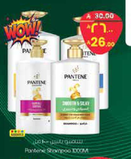 available at City Flower in KSA, Saudi Arabia, Saudi - Hail