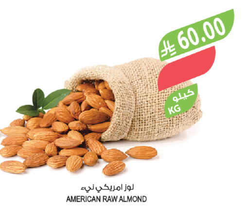 available at Farm  in KSA, Saudi Arabia, Saudi - Riyadh
