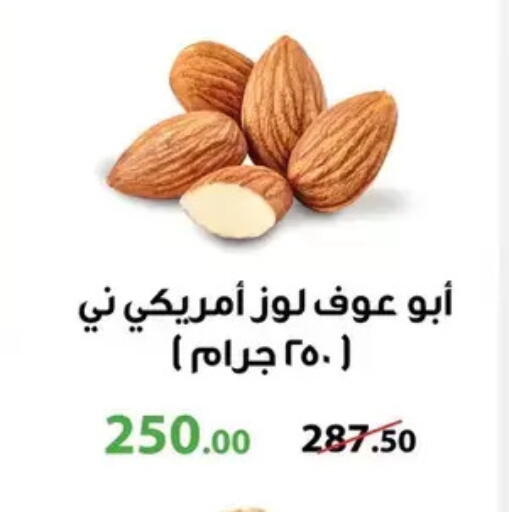 available at Panda  in Egypt - Cairo