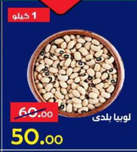 available at Aldoneia Bkheir ismailia  in Egypt - Cairo