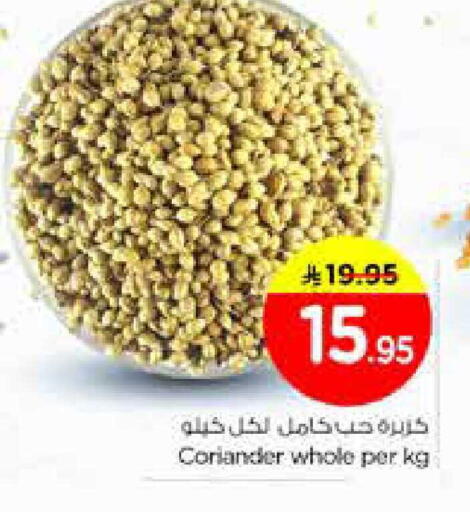 Coriander available at Nesto in KSA, Saudi Arabia, Saudi - Riyadh