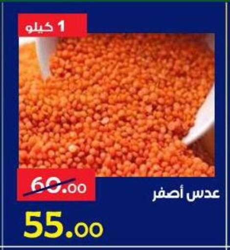 available at Aldoneia Bkheir ismailia  in Egypt - Cairo