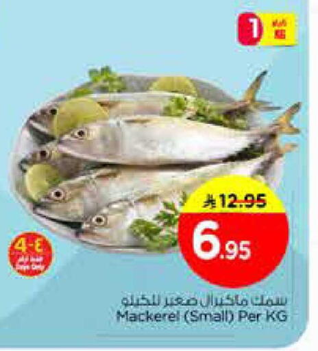 available at نستو in مملكة العربية السعودية, السعودية, سعودية - الخبر‎