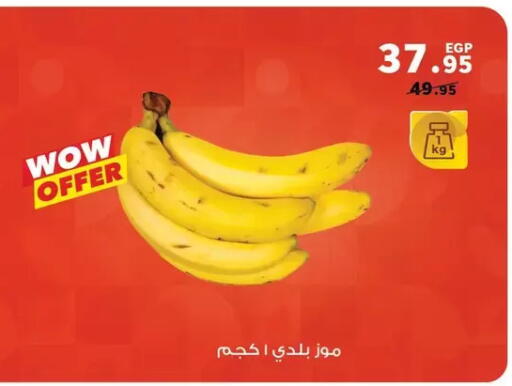 available at Panda  in Egypt - Cairo