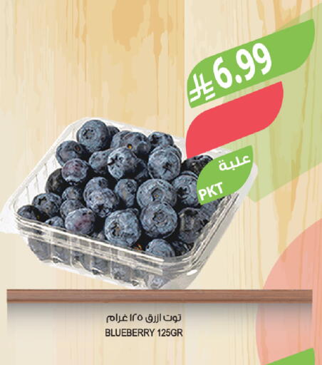 Blueberry BlueBerry available at Farm  in KSA, Saudi Arabia, Saudi - Wadi ad Dawasir