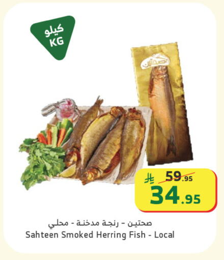 available at Al Raya in KSA, Saudi Arabia, Saudi - Al Qunfudhah