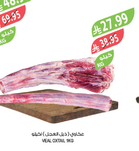 available at المزرعة in مملكة العربية السعودية, السعودية, سعودية - مكة المكرمة