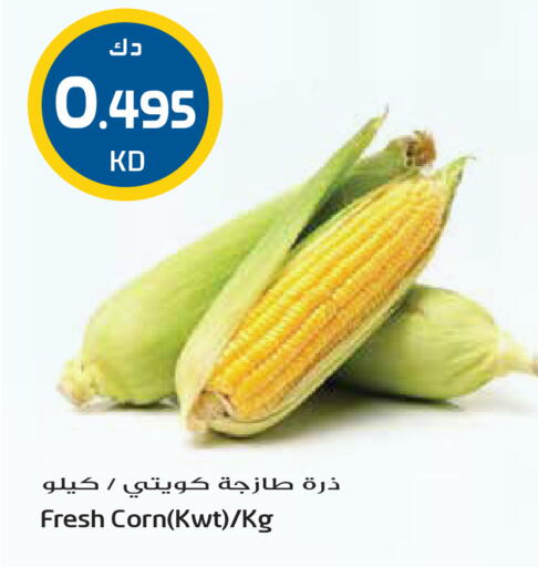 available at جراند هايبر in الكويت - مدينة الكويت