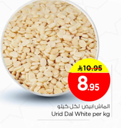 available at نستو in مملكة العربية السعودية, السعودية, سعودية - الرياض