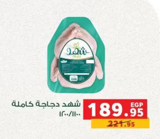 available at بنده in Egypt - القاهرة