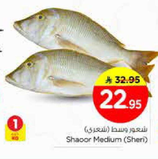 available at نستو in مملكة العربية السعودية, السعودية, سعودية - الخرج