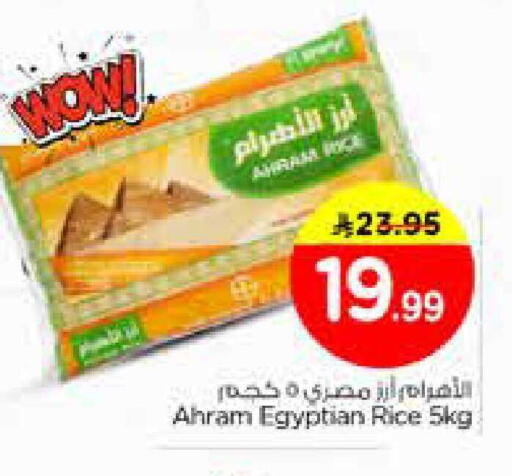 available at نستو in مملكة العربية السعودية, السعودية, سعودية - الخبر‎