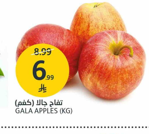 available at مركز الجزيرة للتسوق in مملكة العربية السعودية, السعودية, سعودية - الرياض