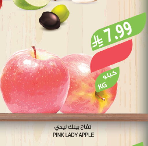 Apple available at المزرعة in مملكة العربية السعودية, السعودية, سعودية - وادي الدواسر