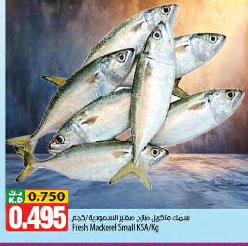 Mango available at مانجو هايبرماركت in الكويت - محافظة الأحمدي