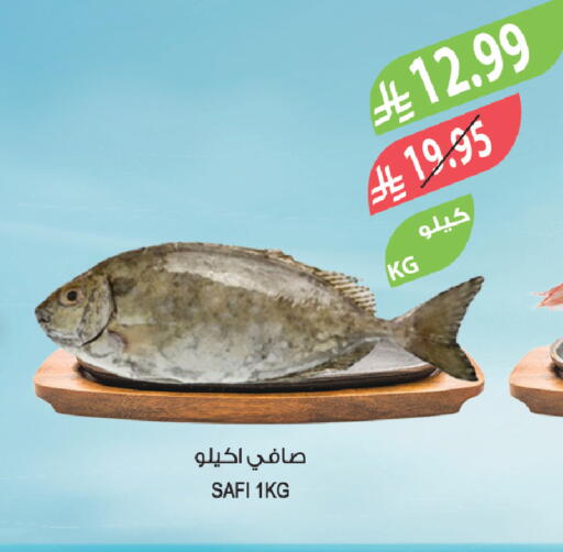 available at المزرعة in مملكة العربية السعودية, السعودية, سعودية - وادي الدواسر