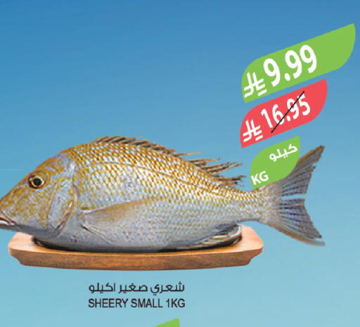 available at المزرعة in مملكة العربية السعودية, السعودية, سعودية - وادي الدواسر