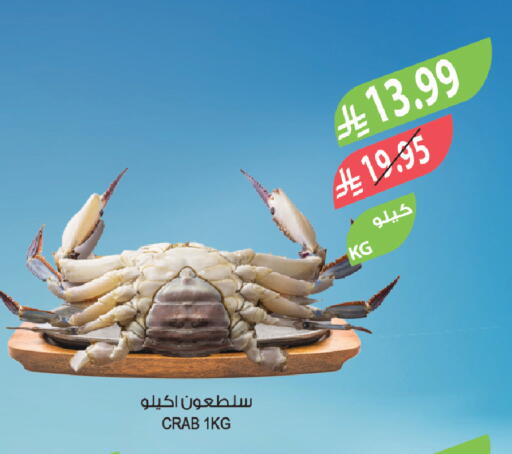 available at المزرعة in مملكة العربية السعودية, السعودية, سعودية - وادي الدواسر