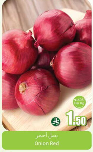 Onion available at أسواق عبد الله العثيم in مملكة العربية السعودية, السعودية, سعودية - مكة المكرمة