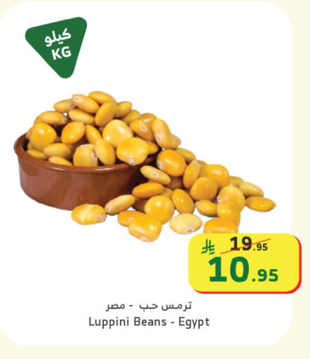 available at الراية in مملكة العربية السعودية, السعودية, سعودية - القنفذة