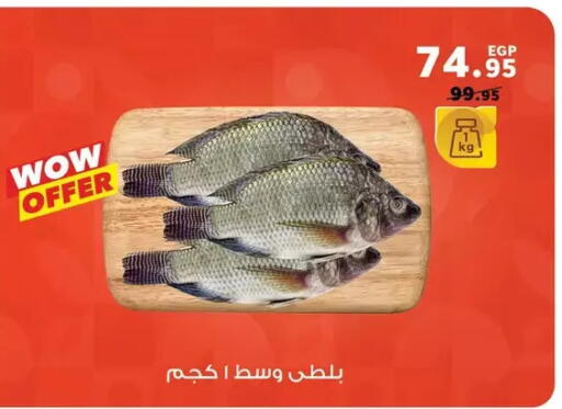 available at Panda  in Egypt - Cairo