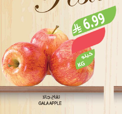 Apple available at المزرعة in مملكة العربية السعودية, السعودية, سعودية - وادي الدواسر