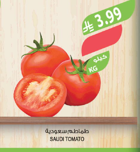 Tomato from Saudi Arabia available at المزرعة in مملكة العربية السعودية, السعودية, سعودية - الخبر‎