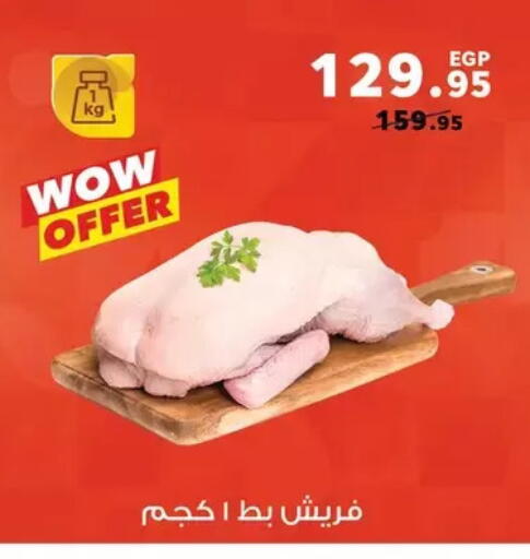available at بنده in Egypt - القاهرة