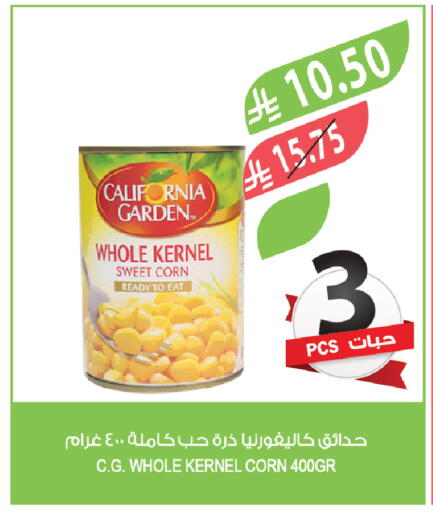available at Farm  in KSA, Saudi Arabia, Saudi - Medina
