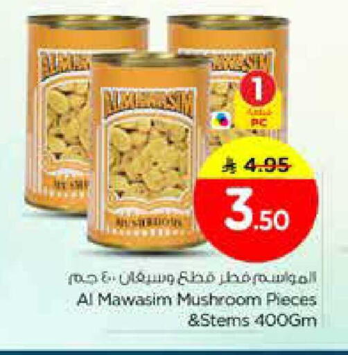 Mushroom available at Nesto in KSA, Saudi Arabia, Saudi - Al Majmaah